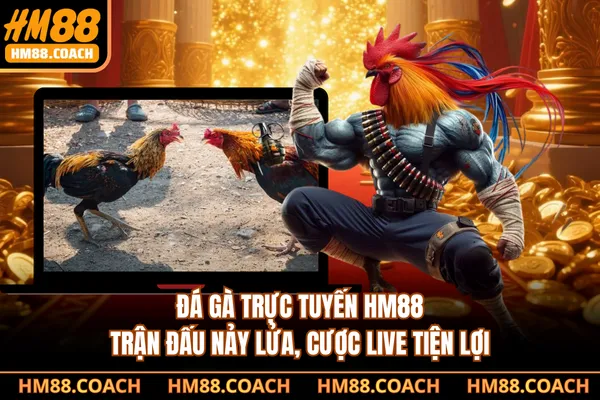 Đá Gà Trực Tuyến HM88 - Trận Đấu Nảy Lửa, Cược Live Tiện Lợi